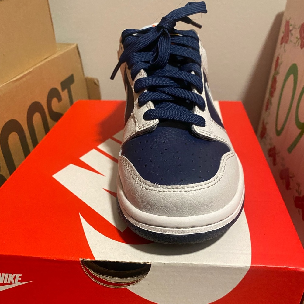Nike dunks low youth